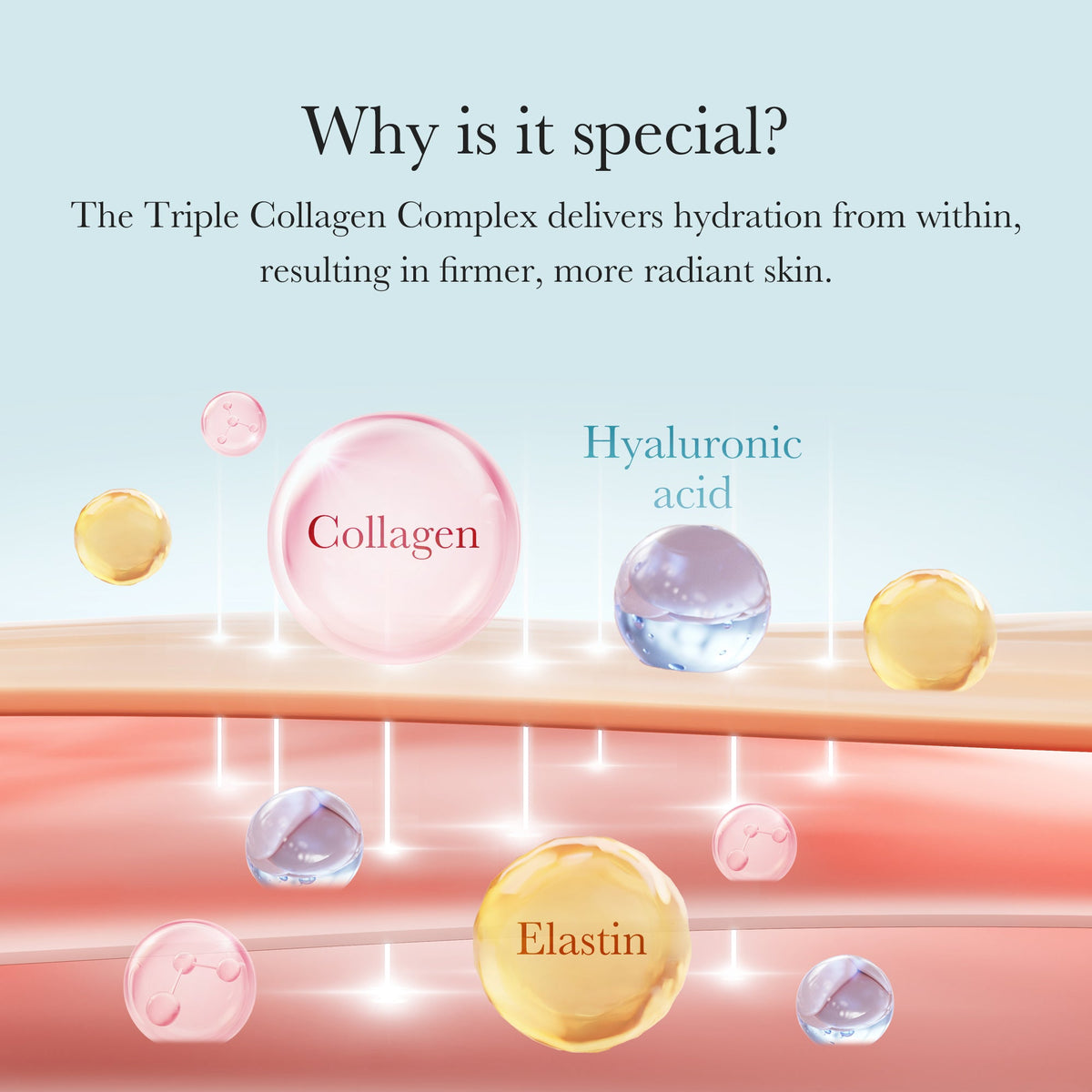 triple-collagen-cream-p0 04_8e4e330d-7d9c-4ff0-93ec-ea541093220c.jpg