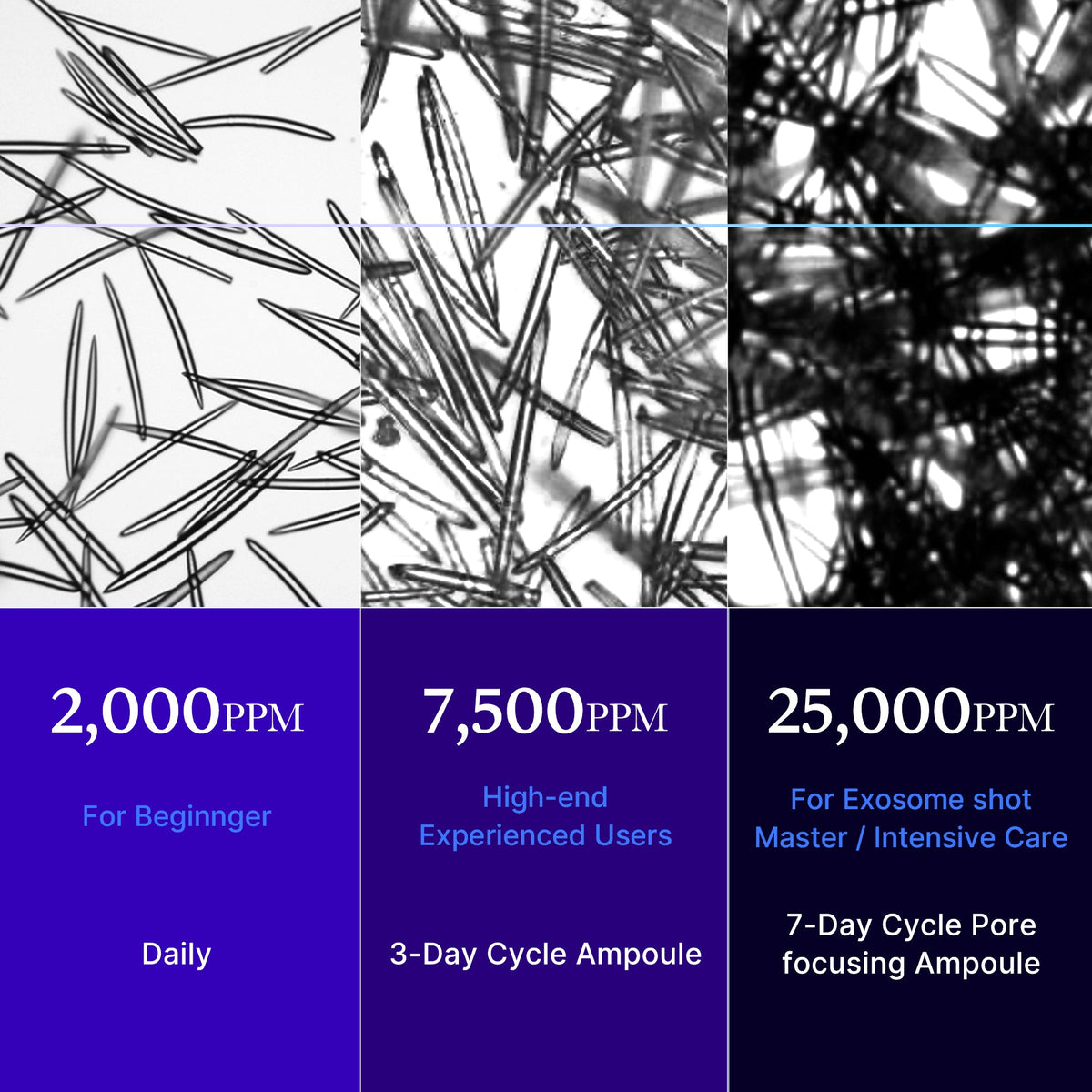 zero-exosome-shot-z2 25000_05.jpg